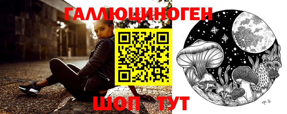 Псилоцибиновые грибы GOLDEN TEACHER Мурино