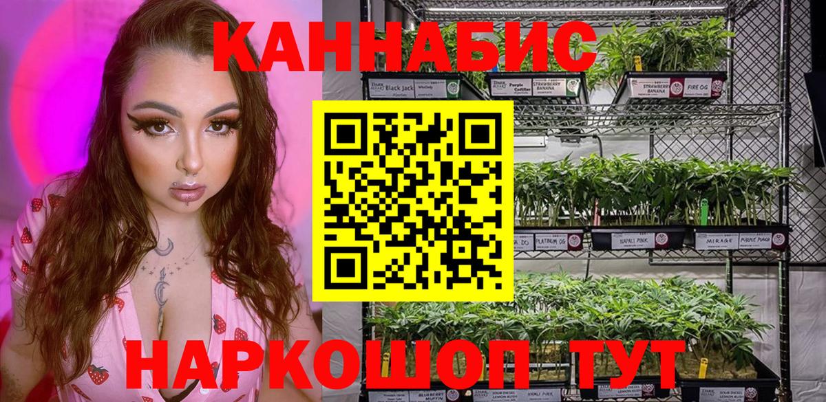 Шишки марихуана AK-47  МАРИХУАНА SATIVA & INDICA  Мурино  Вход с VPN 